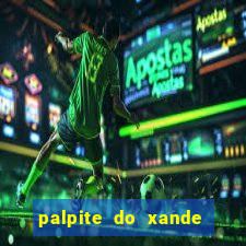 palpite do xande de hoje